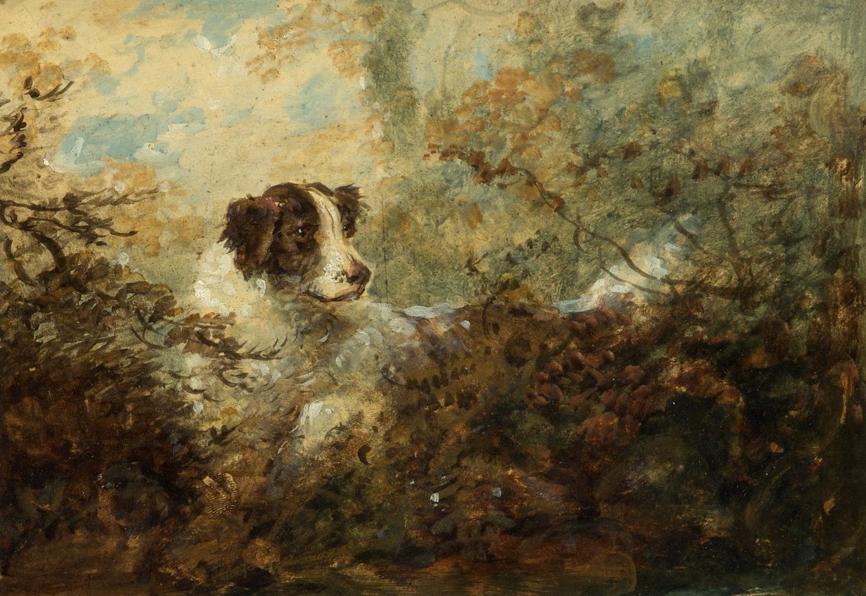 Koira (öljyä aluksella) tekijältä Charles Henry Schwanfelder
