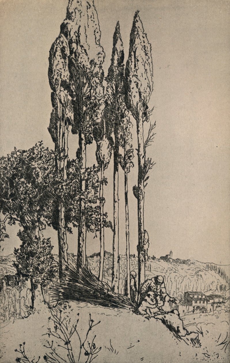 Sypressipuut Sienan lähellä, 1903 tekijältä Charles Holroyd