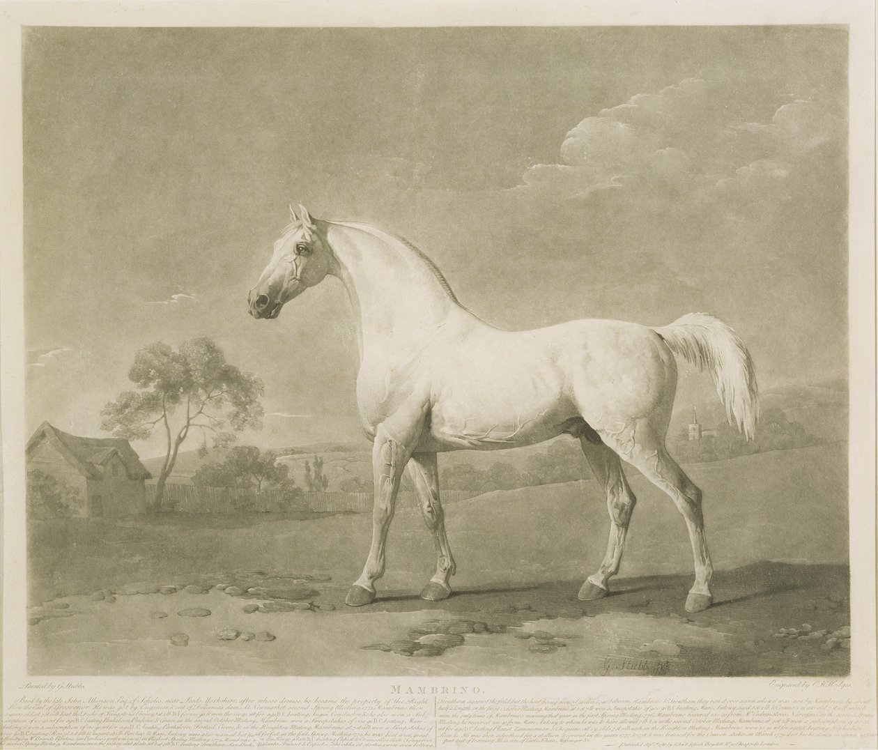 Mambrino, George Stubbsin mukaan, 1788 (mezzotint) tekijältä Charles Howard Hodges