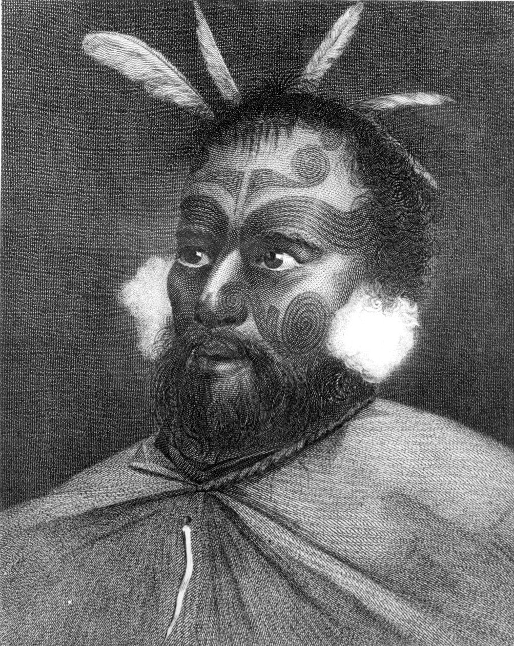 Uuden-Seelannin miehen muotokuva, kuvitus kapteeni James Cookin (1728-79) teoksesta "Maailman ympäri etelänavalle". tekijältä Charles Howard Hodges