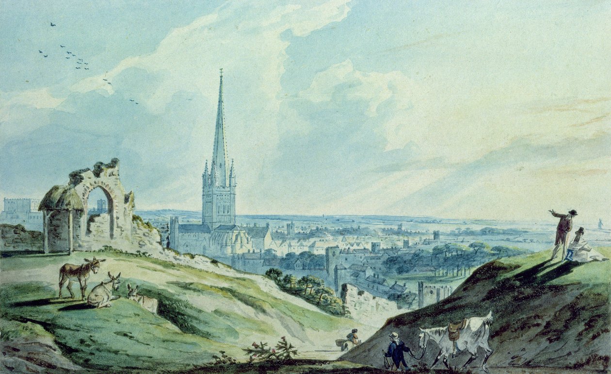 Näkymä Norwichiin Mousehold Hilliltä, lähellä Kettsin linnan rauniot tekijältä Charles, II Catton
