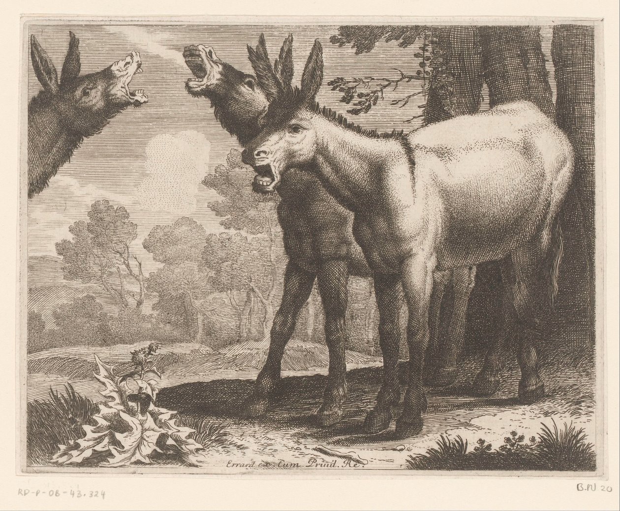 aaseja haukkumassa Eläinsarja (sarjan nimi) tekijältä Charles II Errard (attributed to)