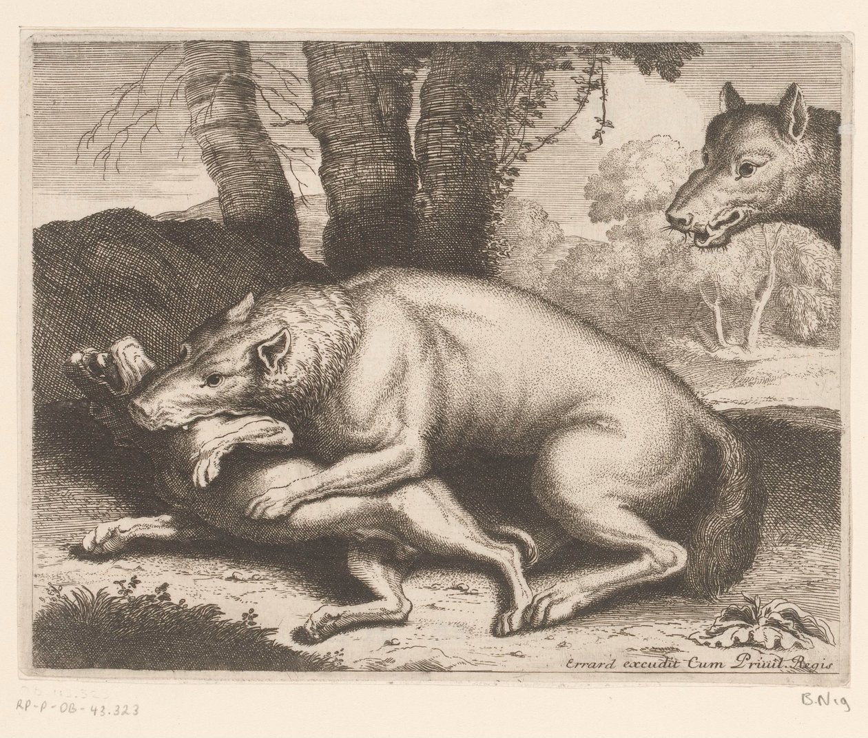 Susi hyökkäsi koiran kimppuun Eläinsarja (sarjan nimi) tekijältä Charles II Errard (attributed to)
