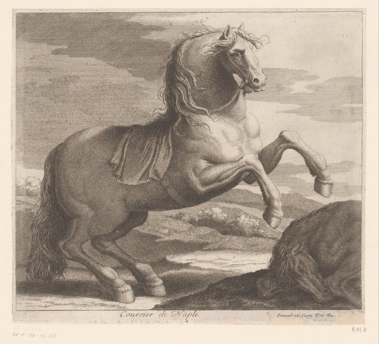 kasvattava hevonen Coursier de Naples (otsikko esineessä) Eläinsarja (sarjan nimi) tekijältä Charles II Errard (attributed to)