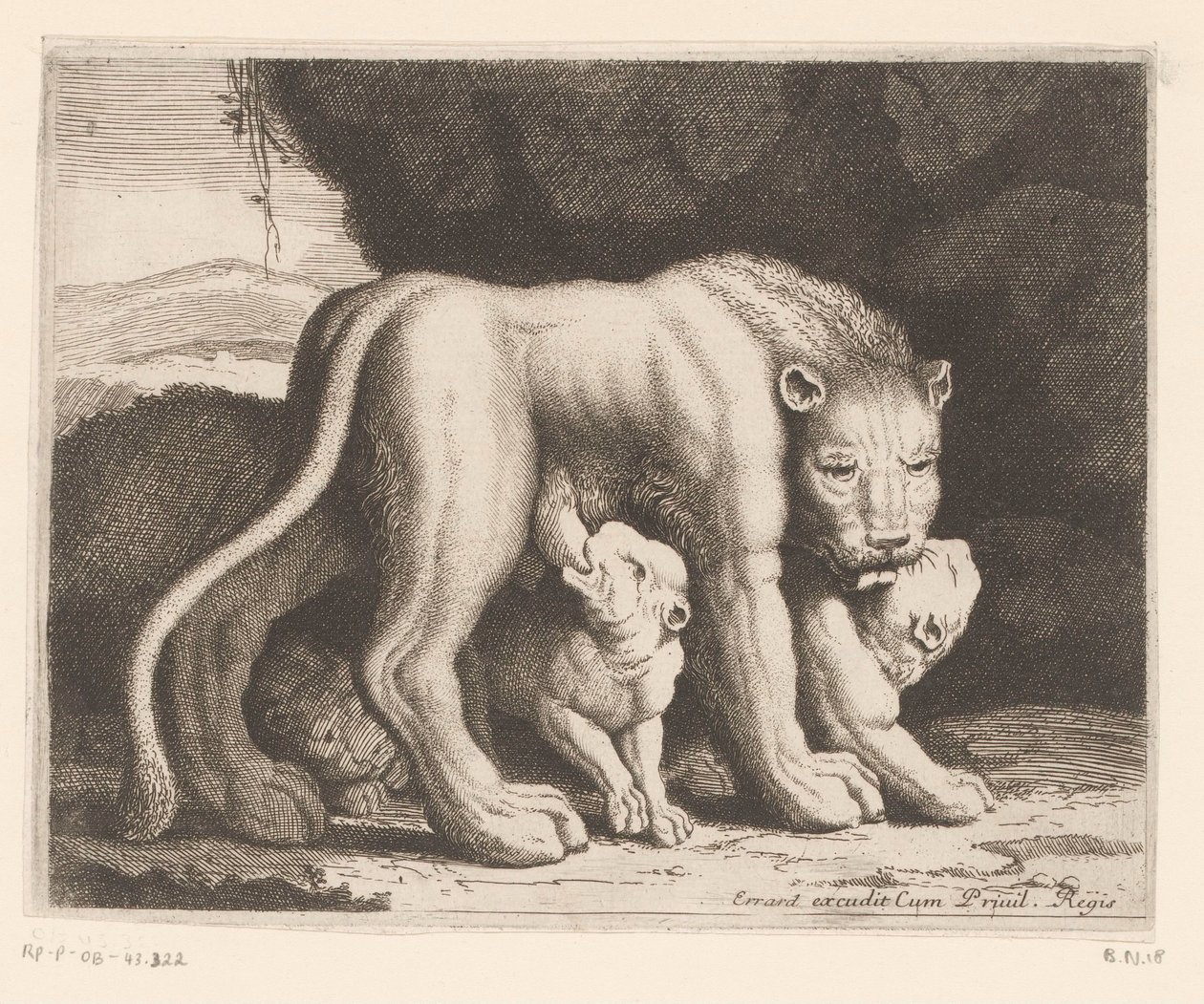 imettävä leijona Eläinsarja (sarjan nimi) tekijältä Charles II Errard (attributed to)