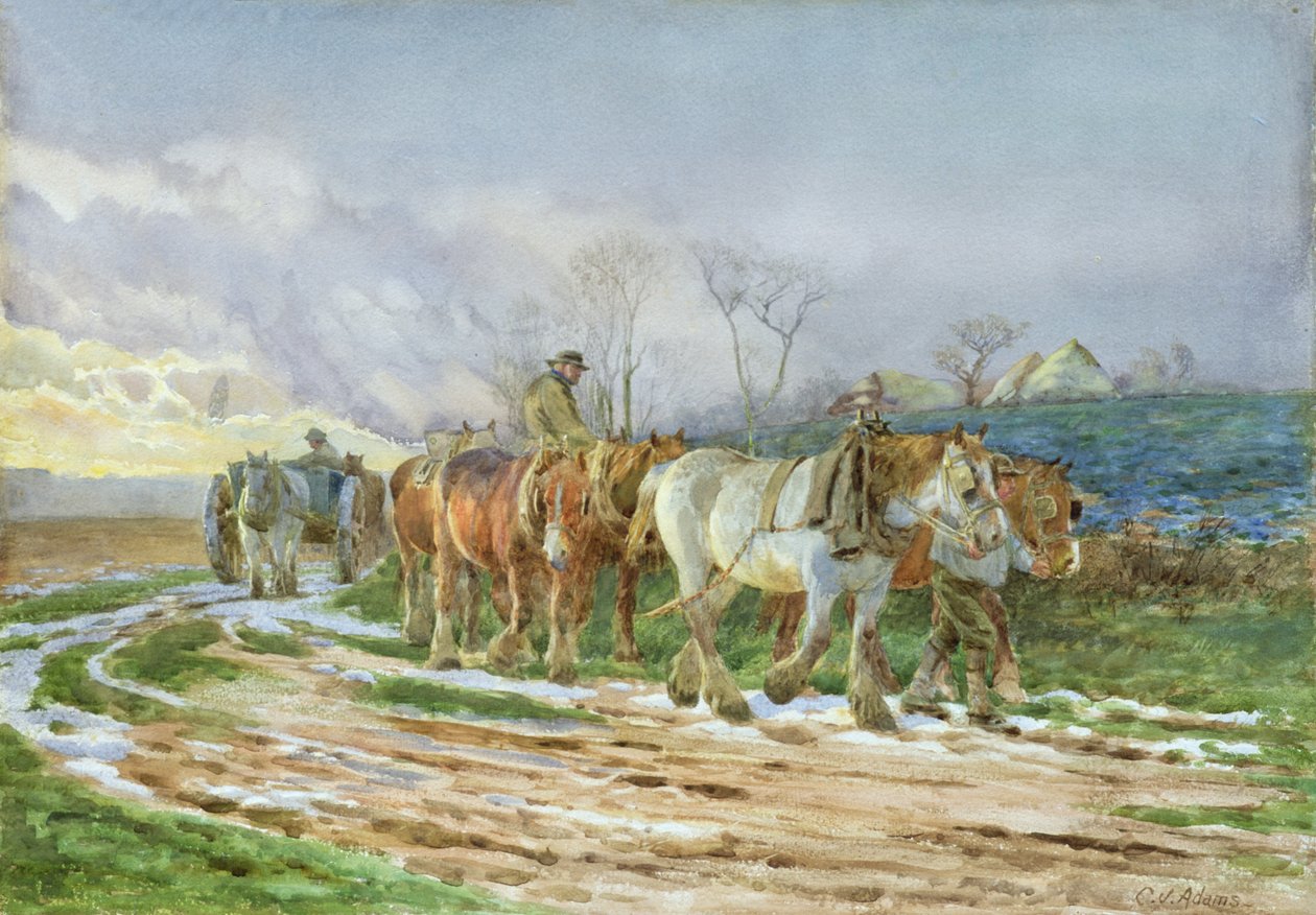 Paluumatkalla oleva tekijältä Charles James Adams