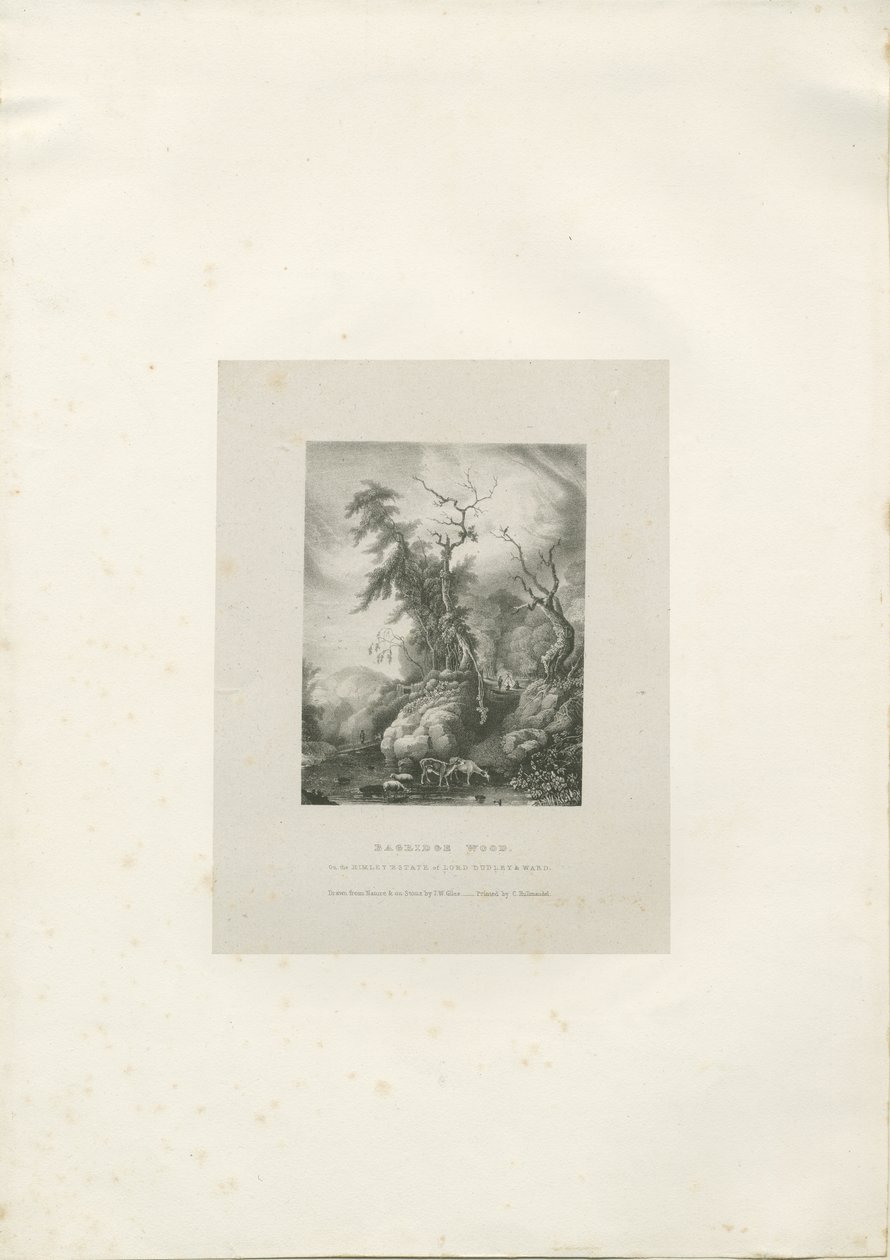 Himley Estate - "Bagridge Wood": litografia, nd [1789-1850] (painos) tekijältä Charles Joseph Hullmandel