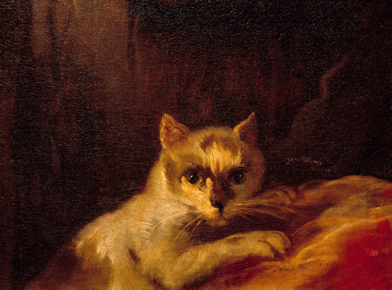 Mademoiselle de Charolais Kissaa edustava yksityiskohta. Charles Joseph Natoiren maalaus (Charles-Joseph Natoire tekijältä Charles Joseph Natoire