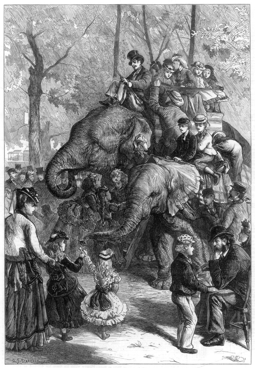 Maanantai-iltapäivä Eläintieteellisen seuran puutarhoissa, 1871. tekijältä Charles Joseph Staniland