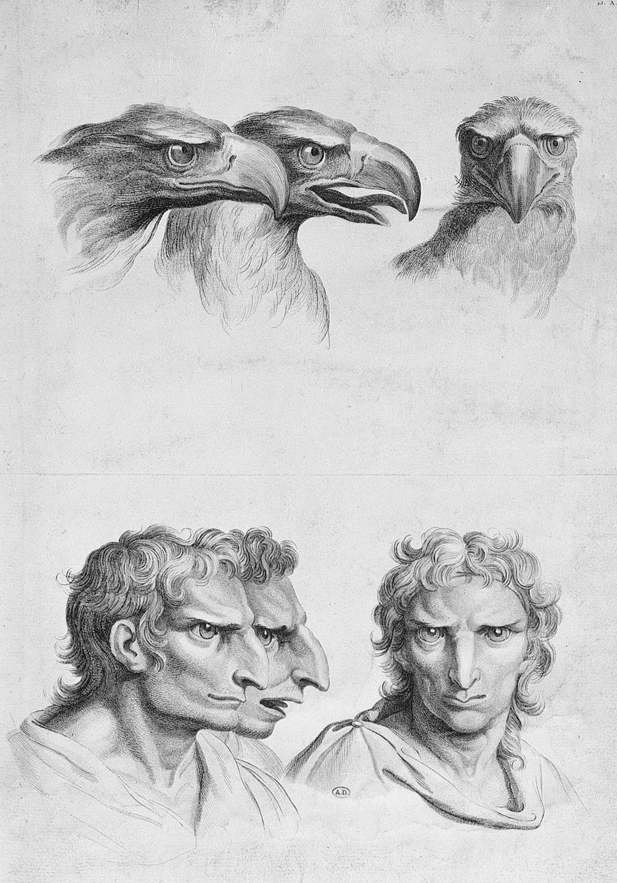 Samankaltaisuuksia kotkan pään ja miehen välillä Le Brunin teoksesta "Livre de portraiture pour ceux qui commencent a dessiner" tekijältä Charles Le Brun