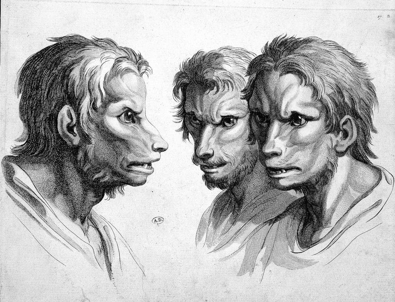 Ihmissuden (ihmissusi) kolme kasvoa - kirjoittanut Le brun tekijältä Charles Le Brun