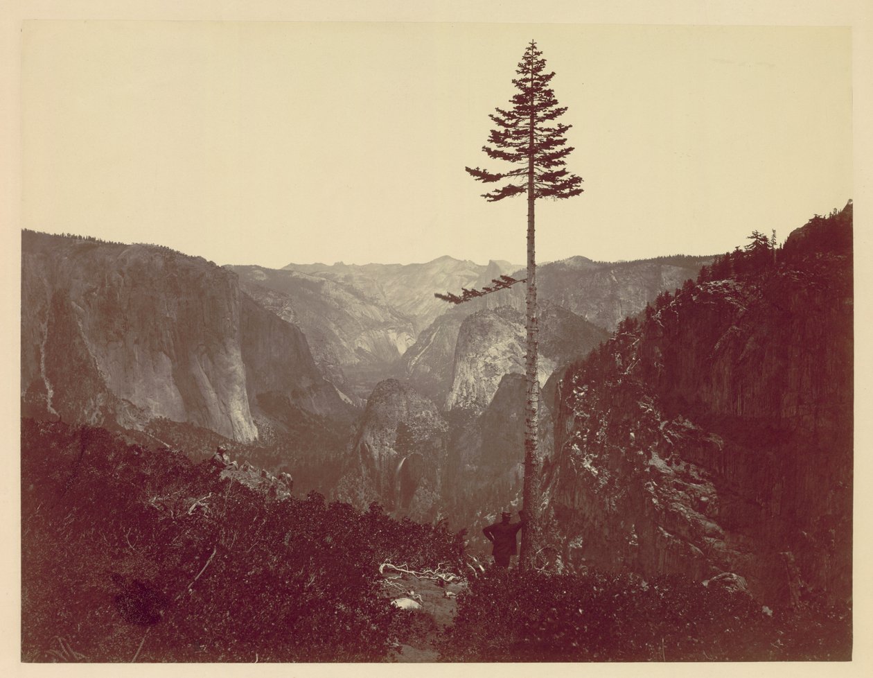 Yosemiten laakso Mariposa Trailista, n. 1865. tekijältä Charles Leander Weed