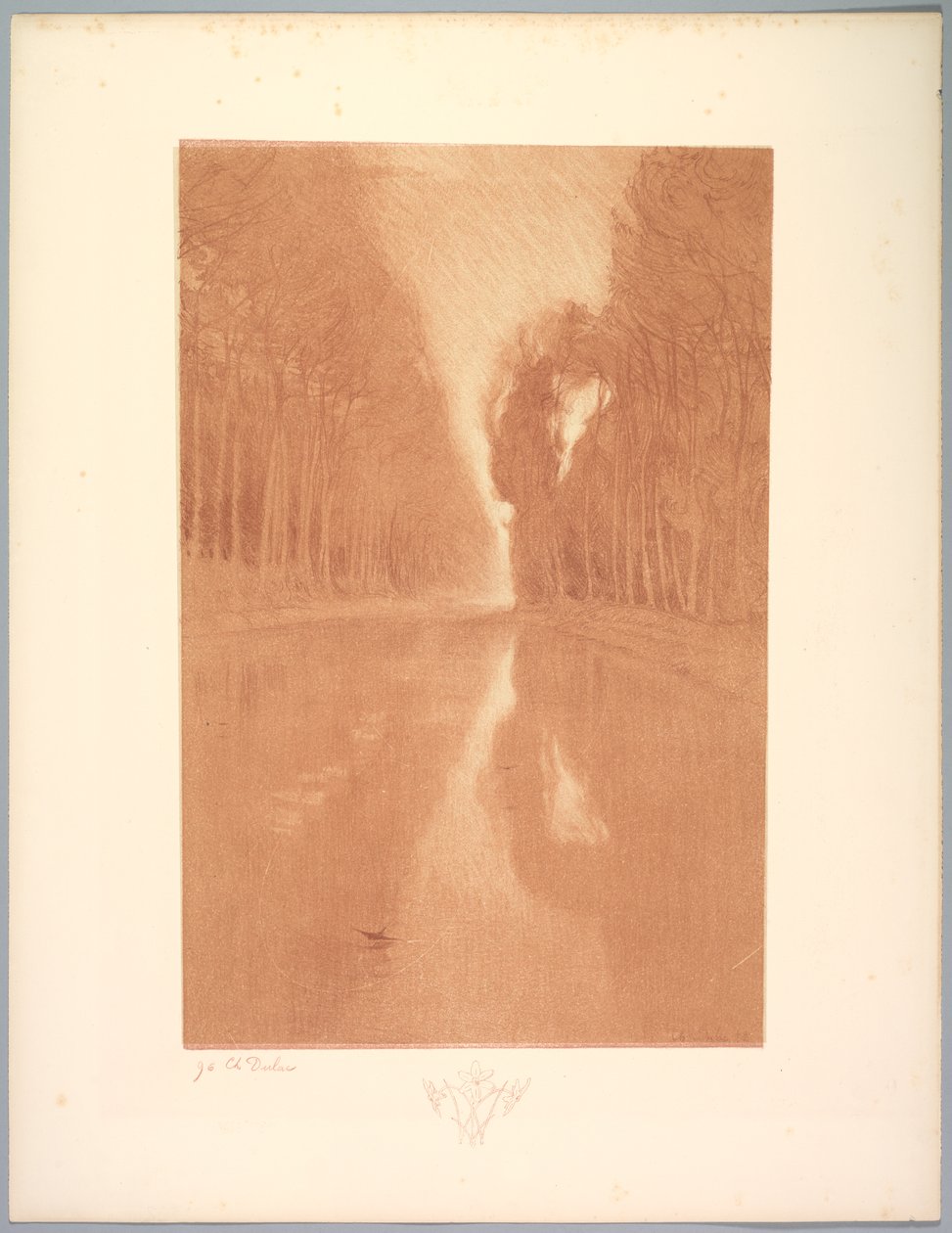 Maisemasarja: maisema, levy 2, muistiinpano, tähtikukat, 1892-1893. tekijältä Charles Marie Dulac
