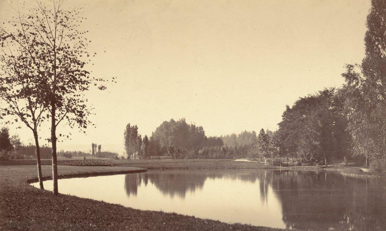 Bois de Boulogne tekijältä Charles Marville