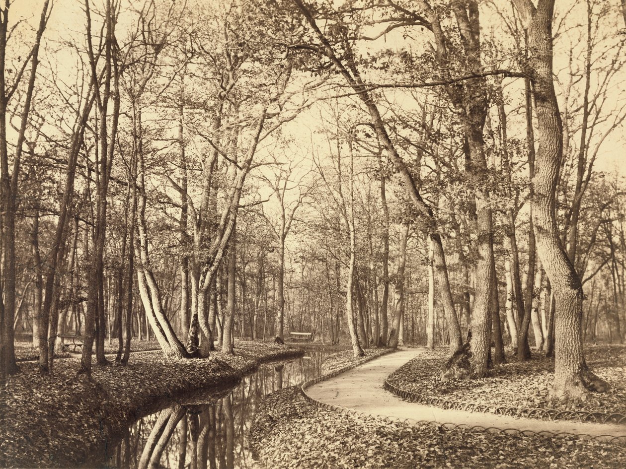 Bois de Boulogne, Pariisi tekijältä Charles Marville
