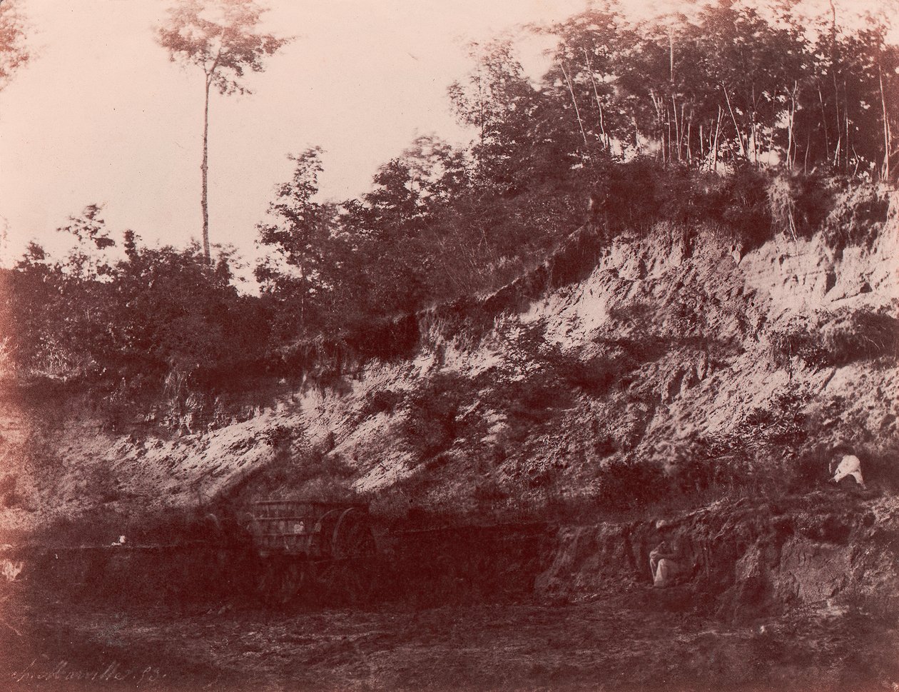 Louhos, 1850-53. tekijältä Charles Marville