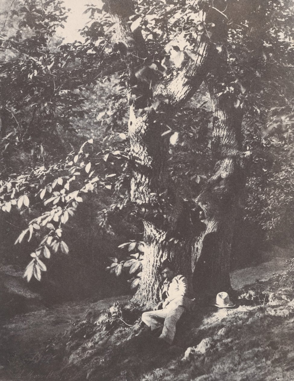 Mies makaamassa kastanjapuun juurella, 1850-53. tekijältä Charles Marville