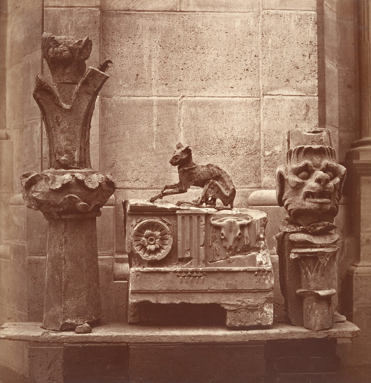 Muumioitunut kissa, joka löydettiin Saint-Germain-en-Layen kaivauksista, n. 1862. tekijältä Charles Marville