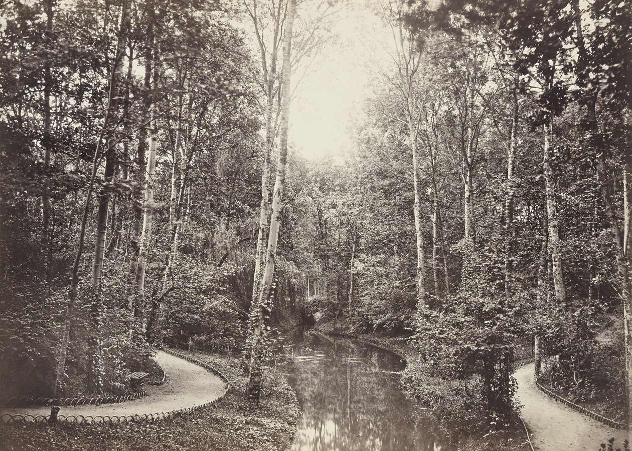 Deer Pond (Doe