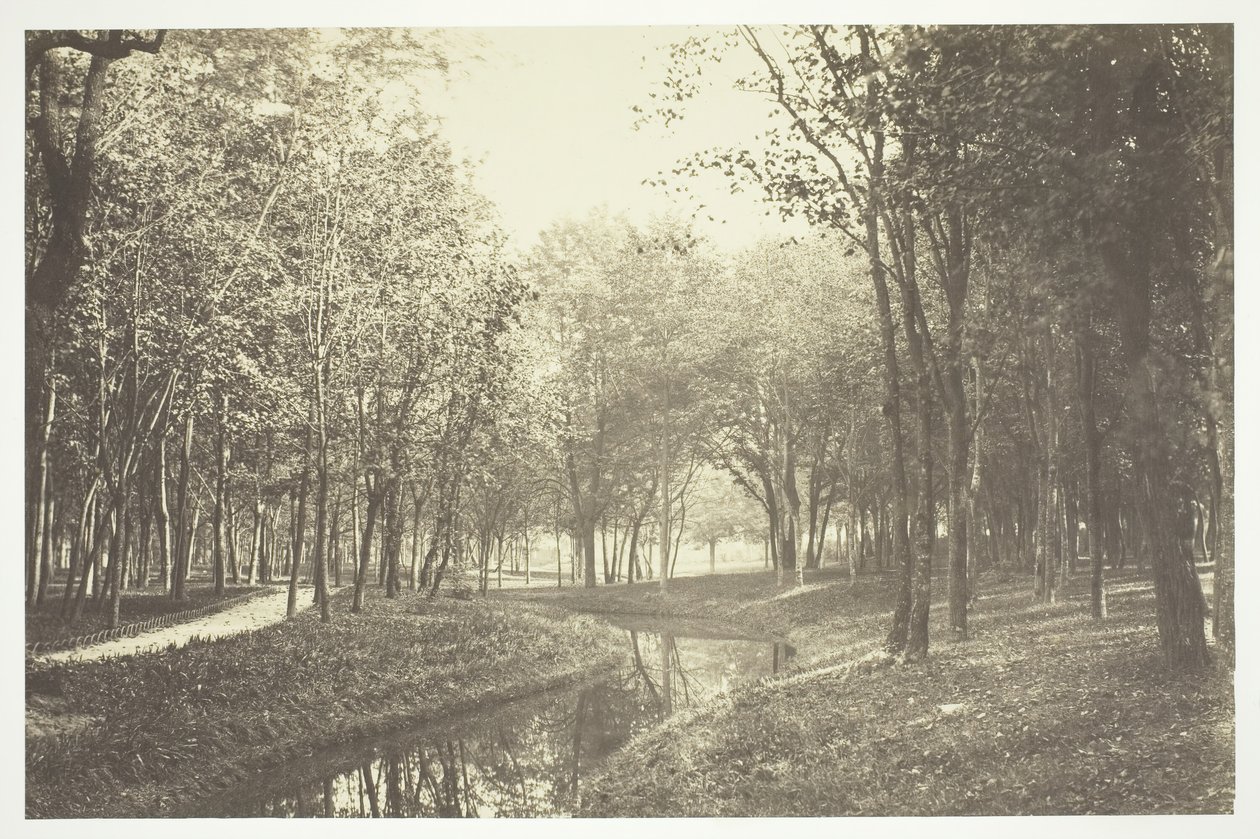 Sense títol, c. 1850. [Arbres prop de l