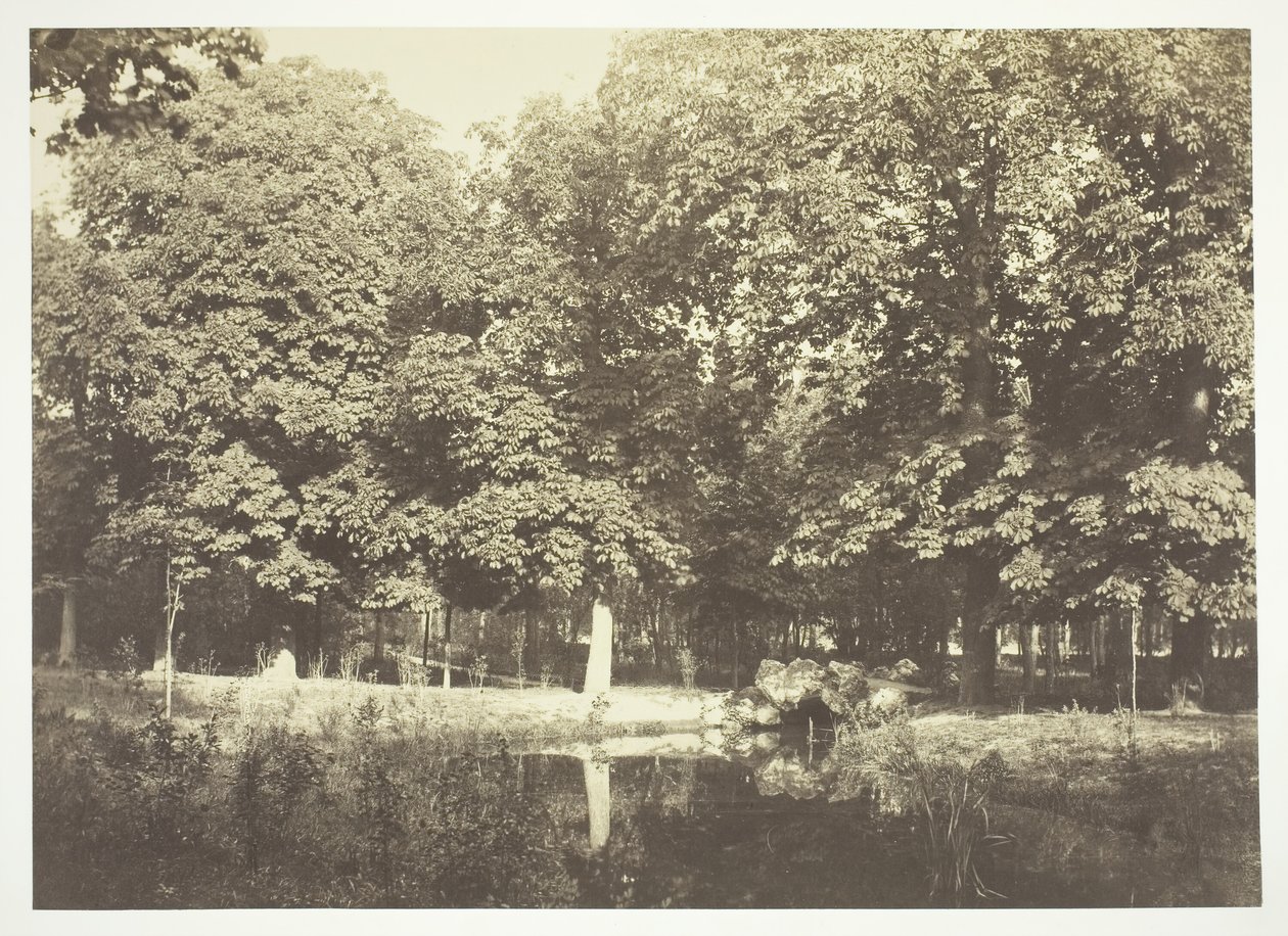 Nimetön, c. 1850. [Puita lähellä vettä Bois de Boulognessa, puistossa Pariisissa]. tekijältä Charles Marville
