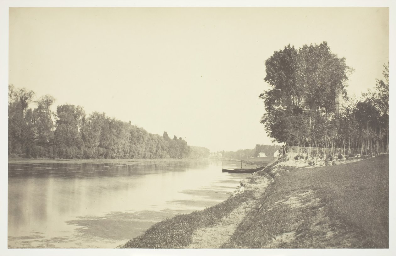 Nimetön, c. 1850. [Puita lähellä vettä Bois de Boulognessa, puistossa Pariisissa]. tekijältä Charles Marville