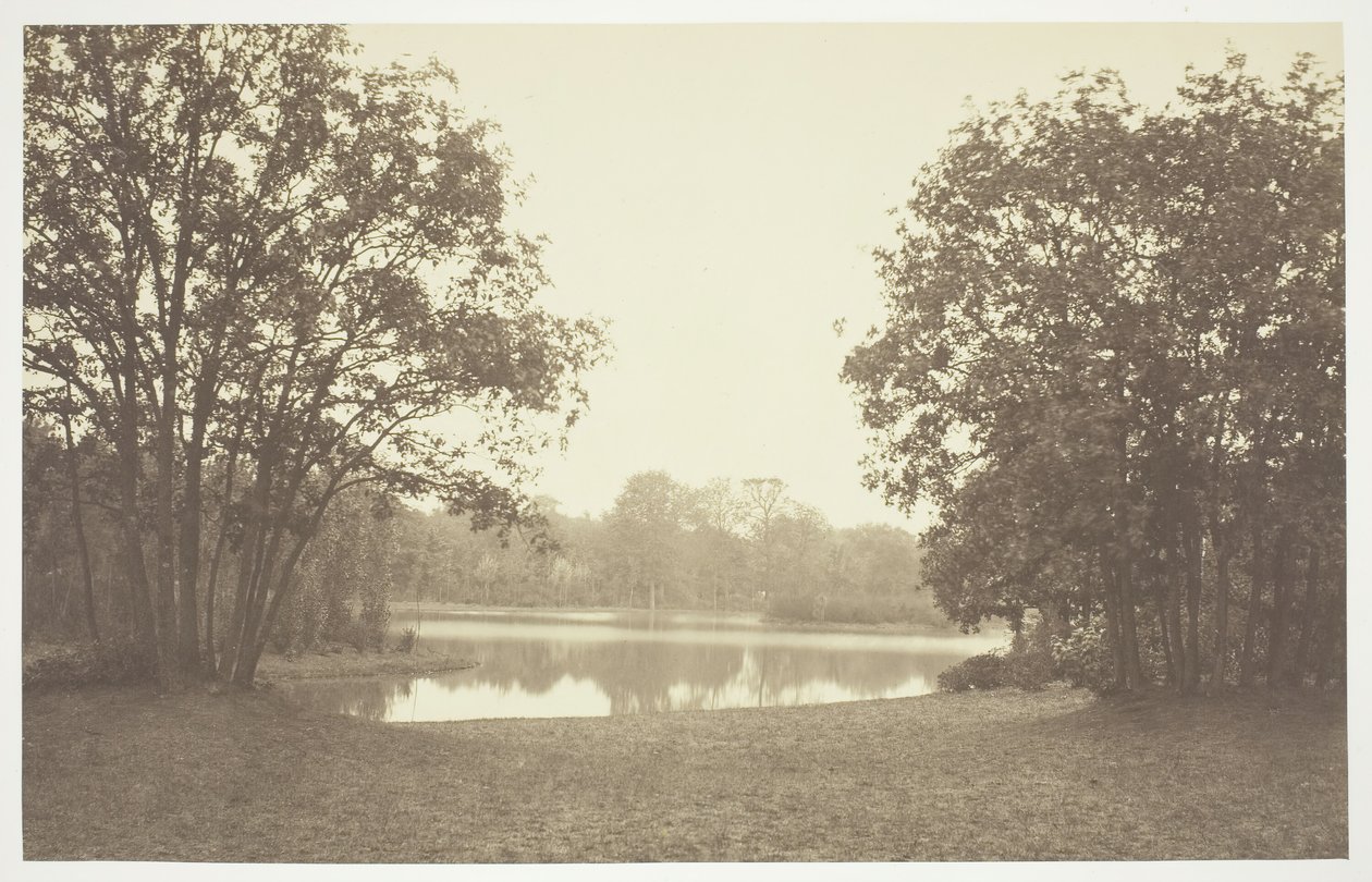 Nimetön, c. 1850. [Puita lähellä vettä Bois de Boulognessa, puistossa Pariisissa]. tekijältä Charles Marville