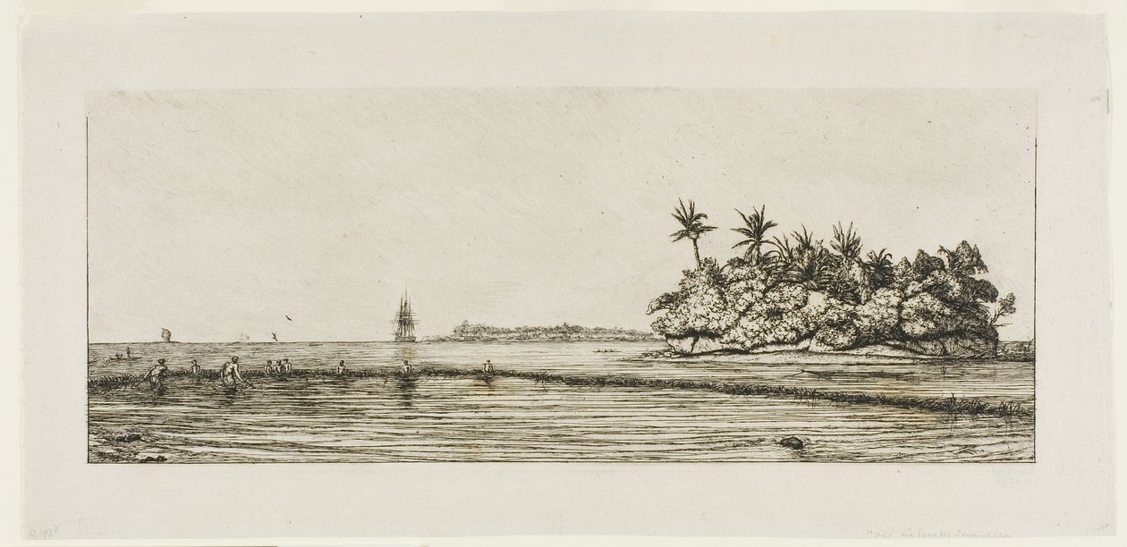 Oseania: Kalastus, Palmssaarten lähellä Uea tai Wallis Group, 1845 tekijältä Charles Meryon