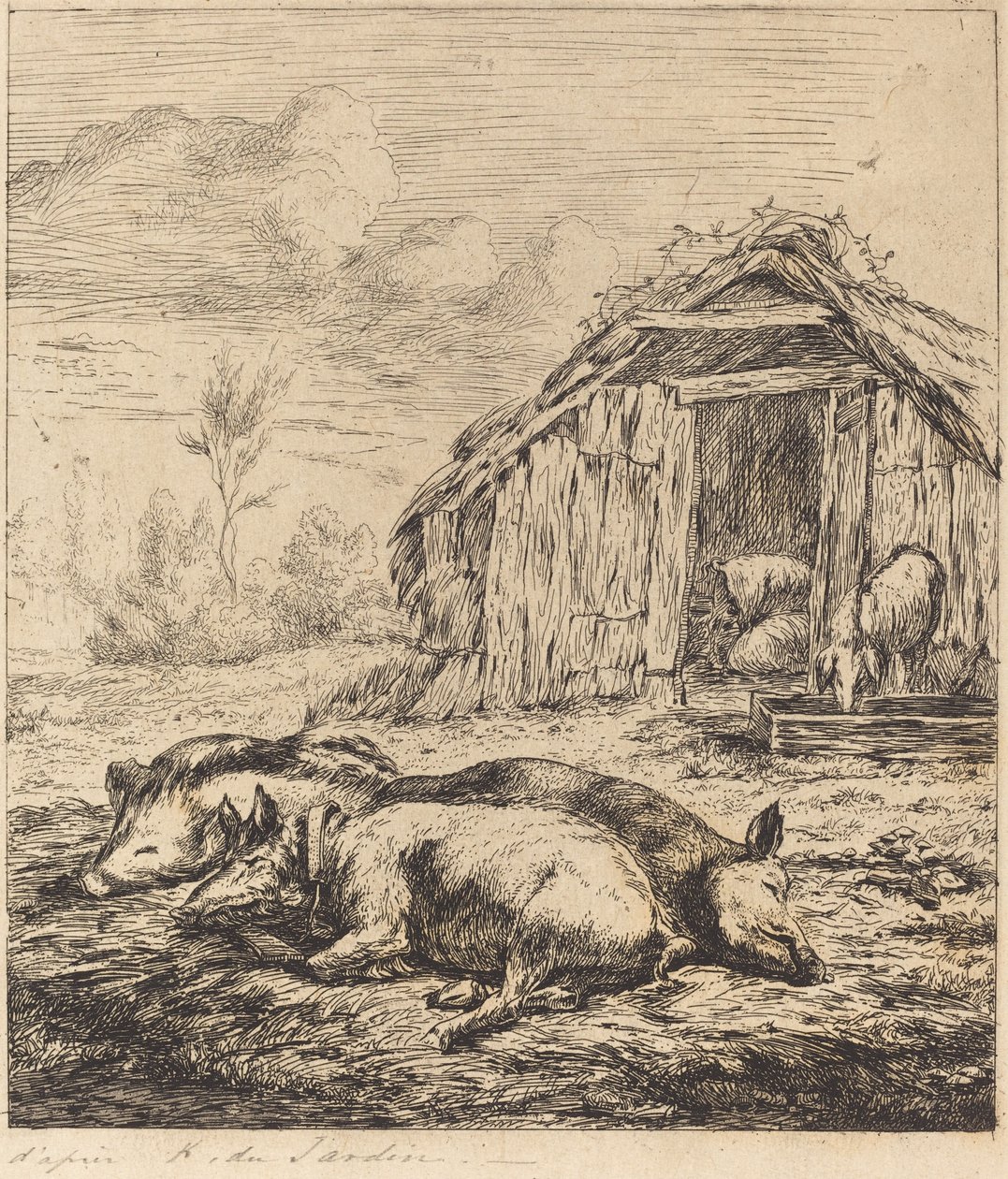 Kolme sikaa makaa tallin edessä (kolme sikaa makaavat tallin edessä) tekijältä Charles Meryon after Karel Dujardin