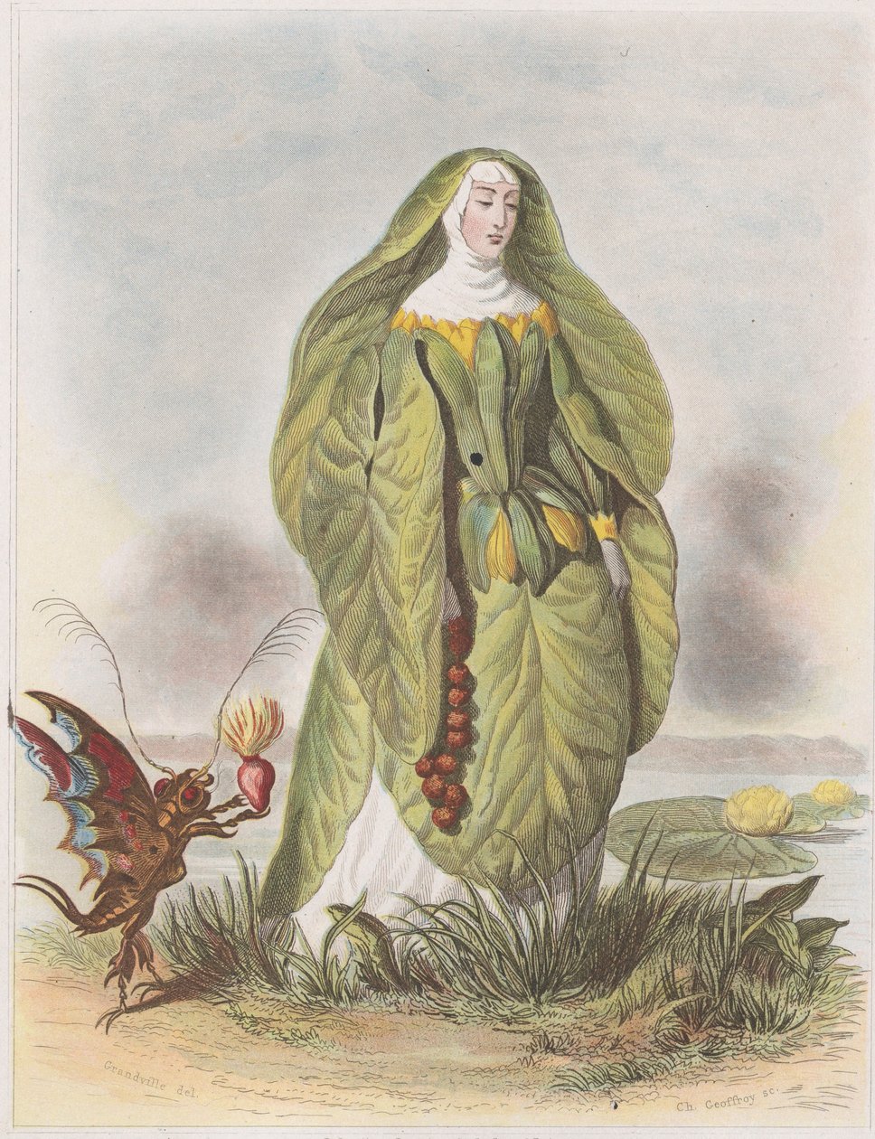 Lumpe, Les Fleurs Animées, 1847. tekijältä Charles Michel Geoffroy