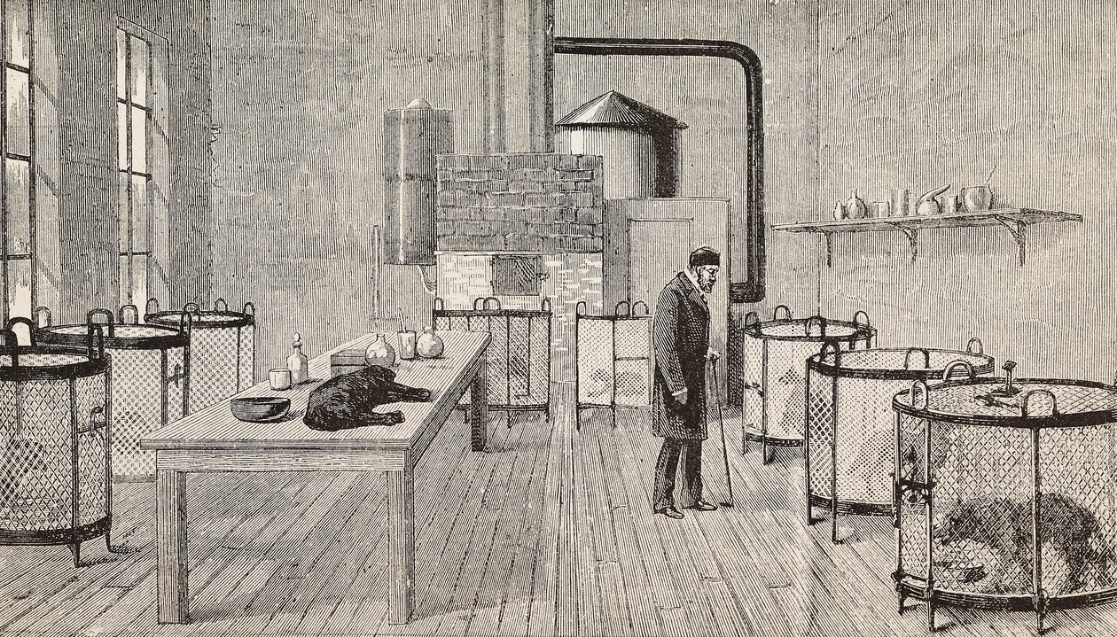 Koiria häkissä Louis Pasteurin (1822-1895), ranskalaisen kemistin ja biologin laboratoriossa, Pariisi, Ranska, kaiverrus L