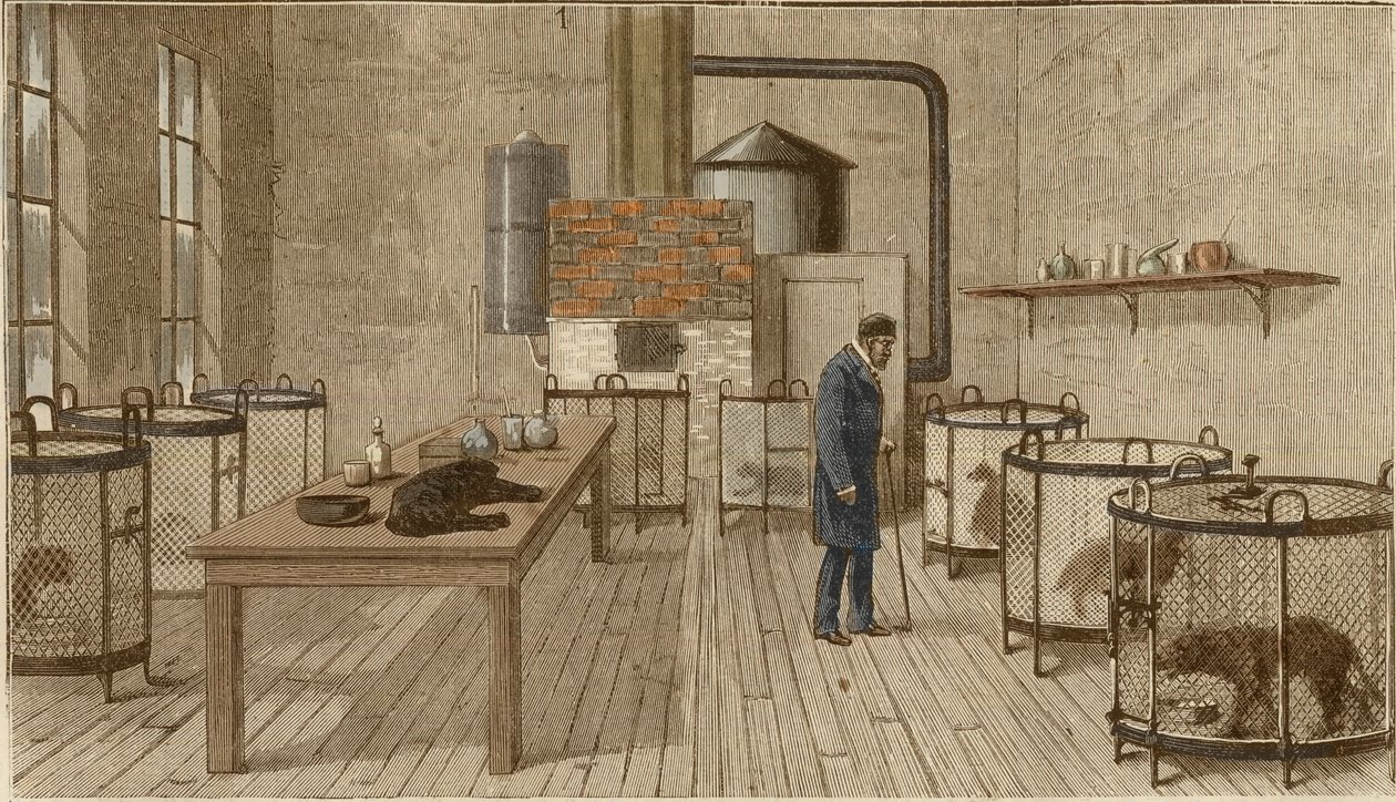 Koirat häkeissä Louis Pasteurin laboratoriossa tekijältä Charles Paul Renouard