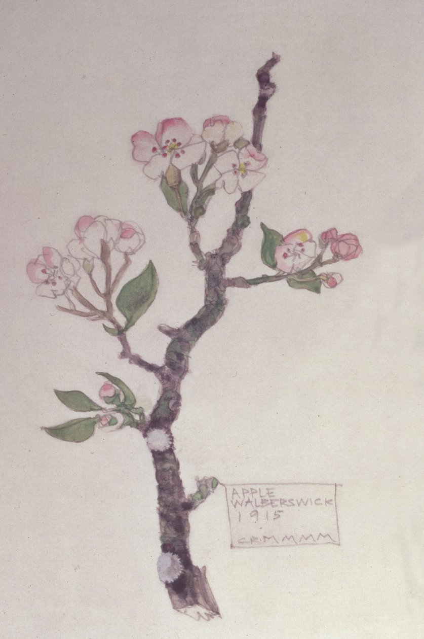 Huonekalut ja erilaiset esineet 1100- ja 1300-luvuilta tekijältä Charles Rennie Mackintosh