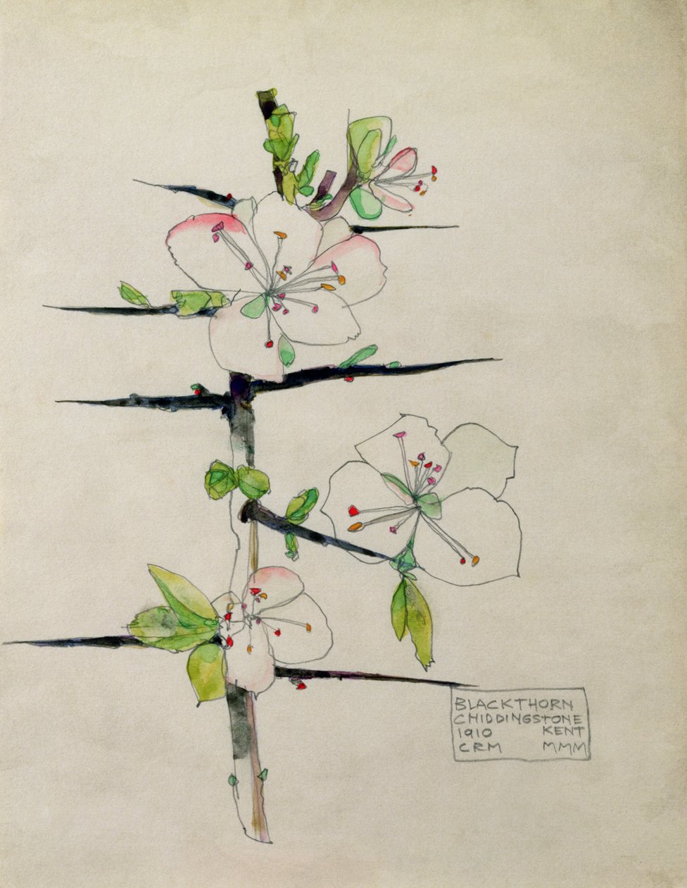 Huonekalut ja erilaiset esineet 1100- ja 1300-luvuilta tekijältä Charles Rennie Mackintosh