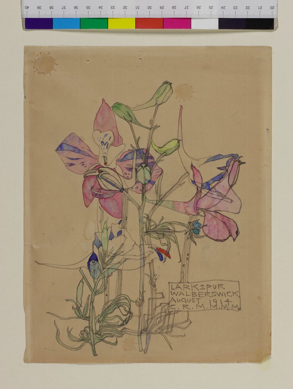 Larkspur, 1914 tekijältä Charles Rennie Mackintosh