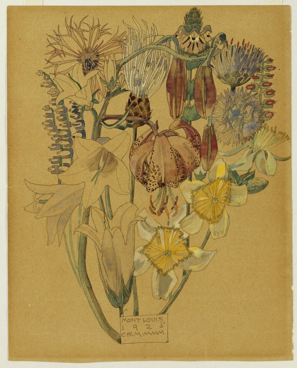Mont Louis - Kukkatutkimus, 1925 tekijältä Charles Rennie Mackintosh