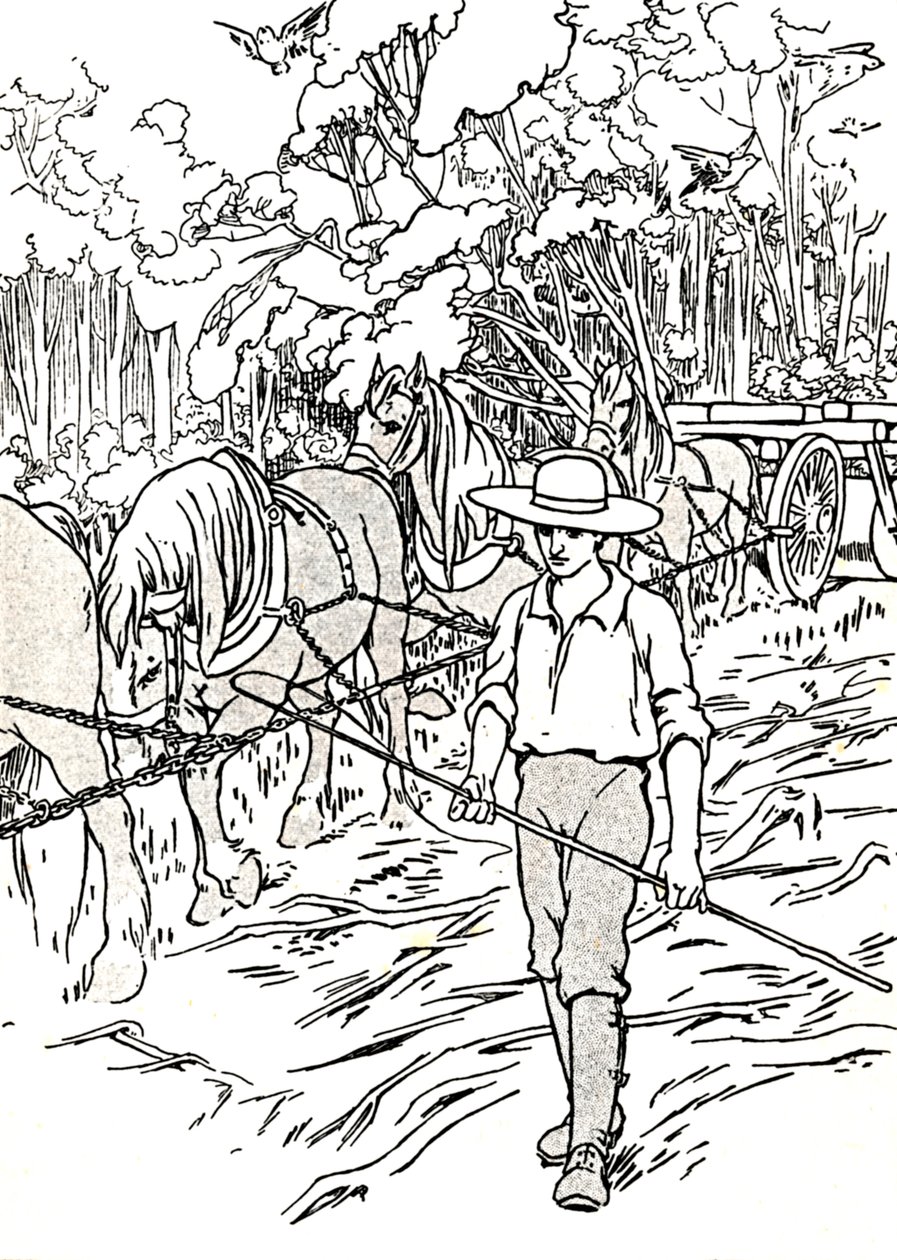 Uudisasukas raivaamassa maataan, 1912 tekijältä Charles Robinson