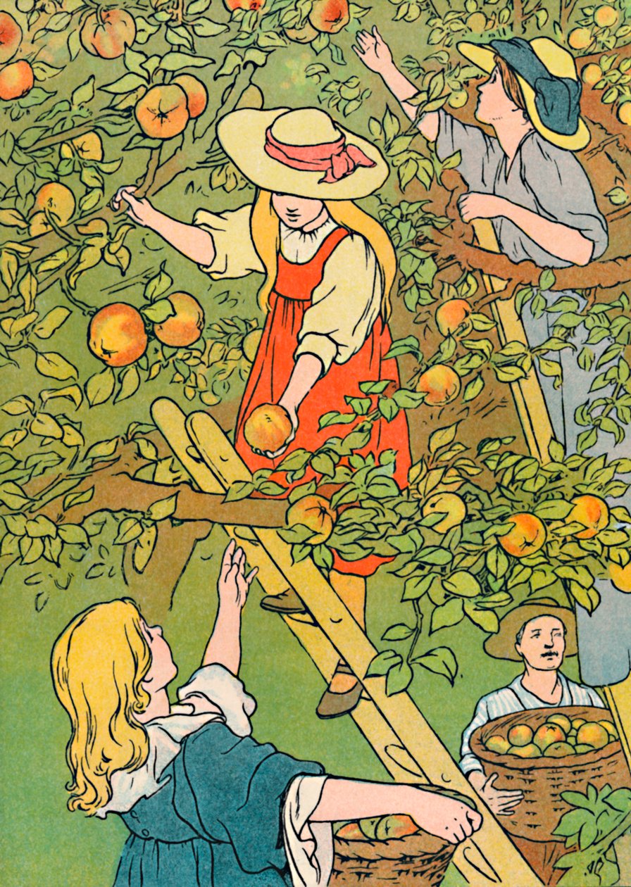 Hedelmän poimiminen, 1912 tekijältä Charles Robinson