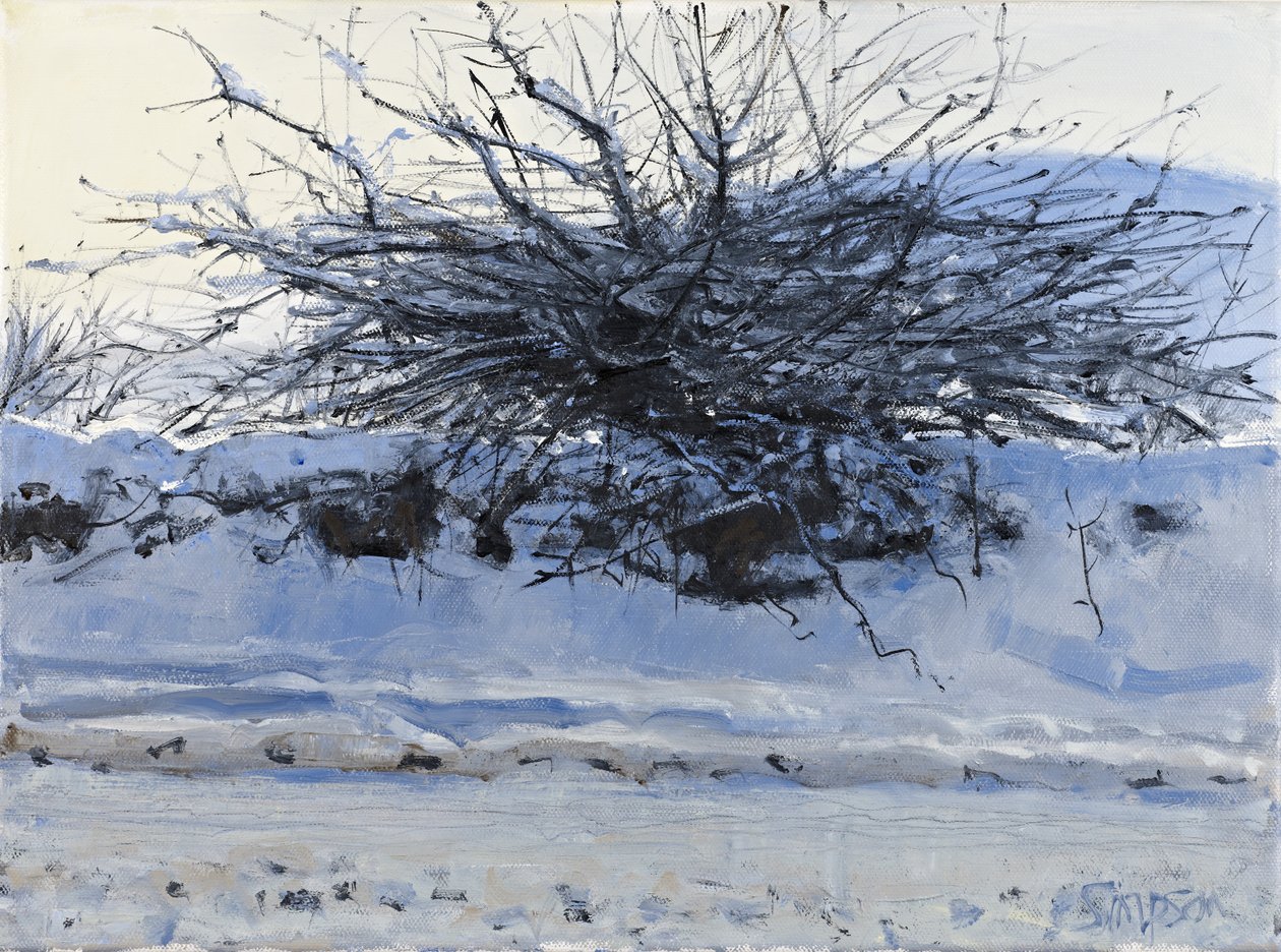 Hawthorn, 2011 (öljy kankaalle) tekijältä Charles Simpson