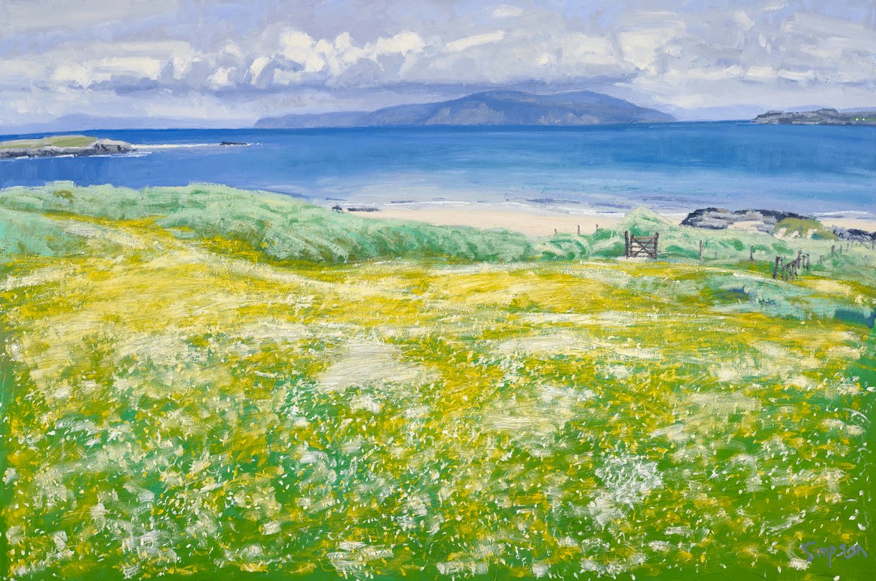 Machair, North End Iona, 2015 (öljy kankaalle) tekijältä Charles Simpson