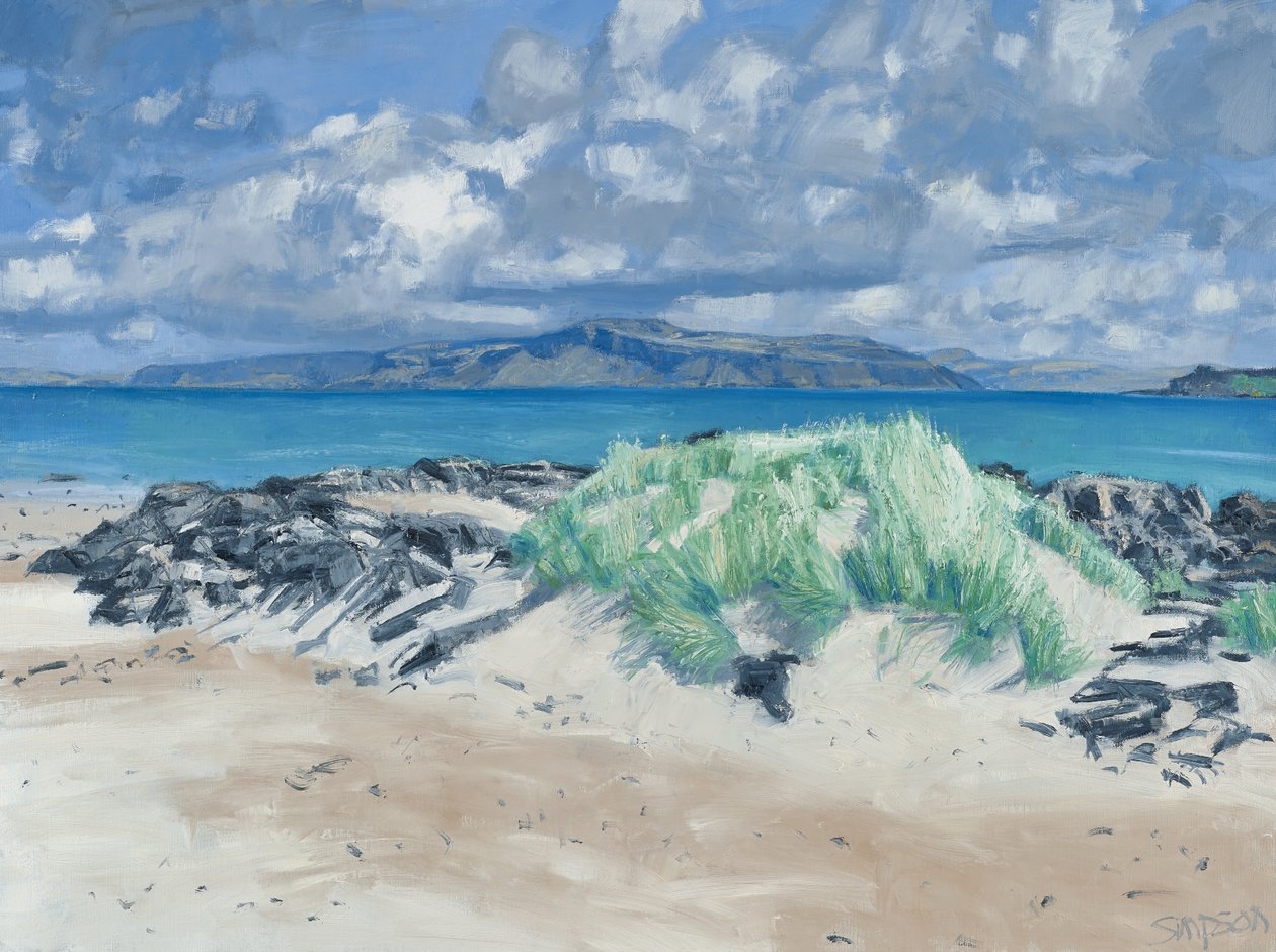 Rocks  Grasses, Iona, 2013 (öljy kankaalle) tekijältä Charles Simpson