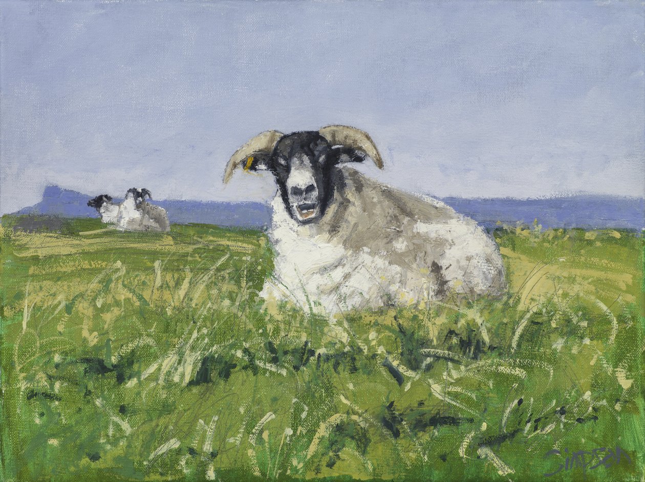 Länsirannikon lammas, 2017 (öljy kankaalle) tekijältä Charles Simpson