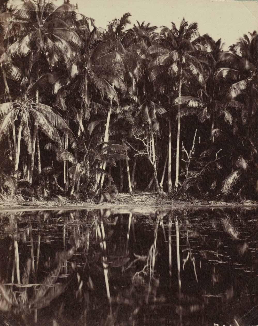 Tetiaroa - Paumotun laguuni, 1880- tai 1890-luku. tekijältä Charles Spitz