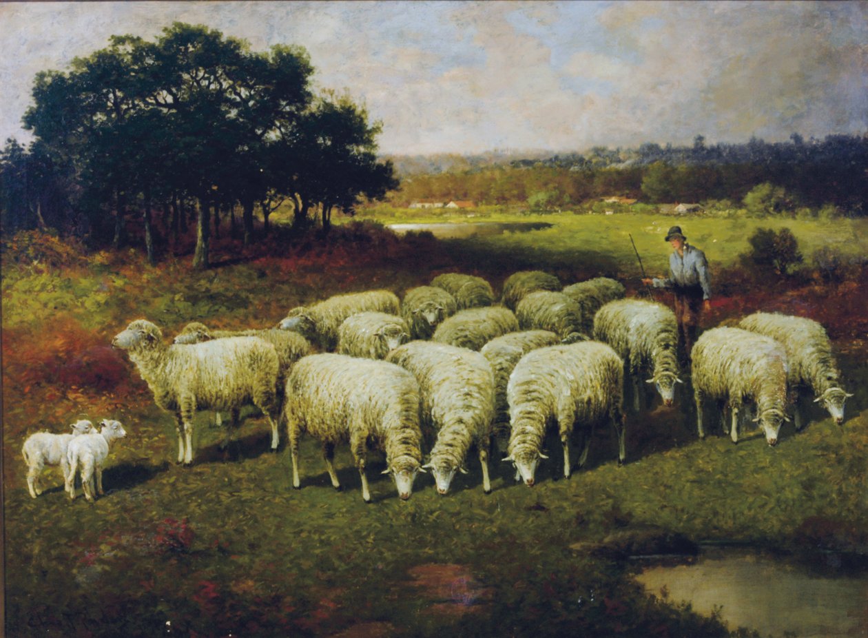 Paimen lampaineen pellolla, 1898 tekijältä Charles T. Phelan