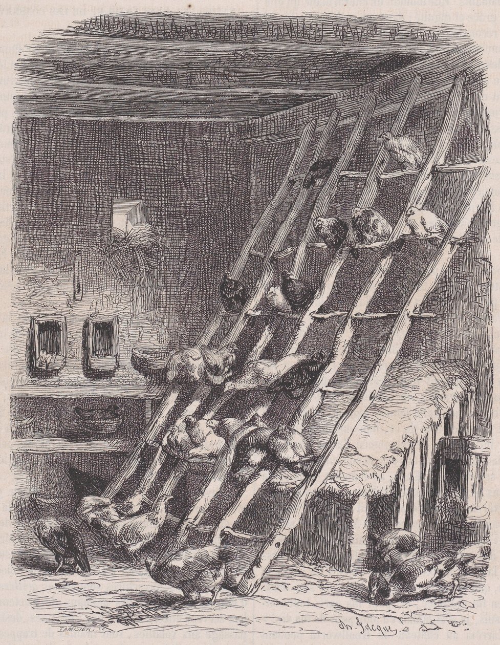 Vierailu maatilalle - The Roost, Le Magasin Pittoresquesta, n. 1852. tekijältä Charles Tamisier