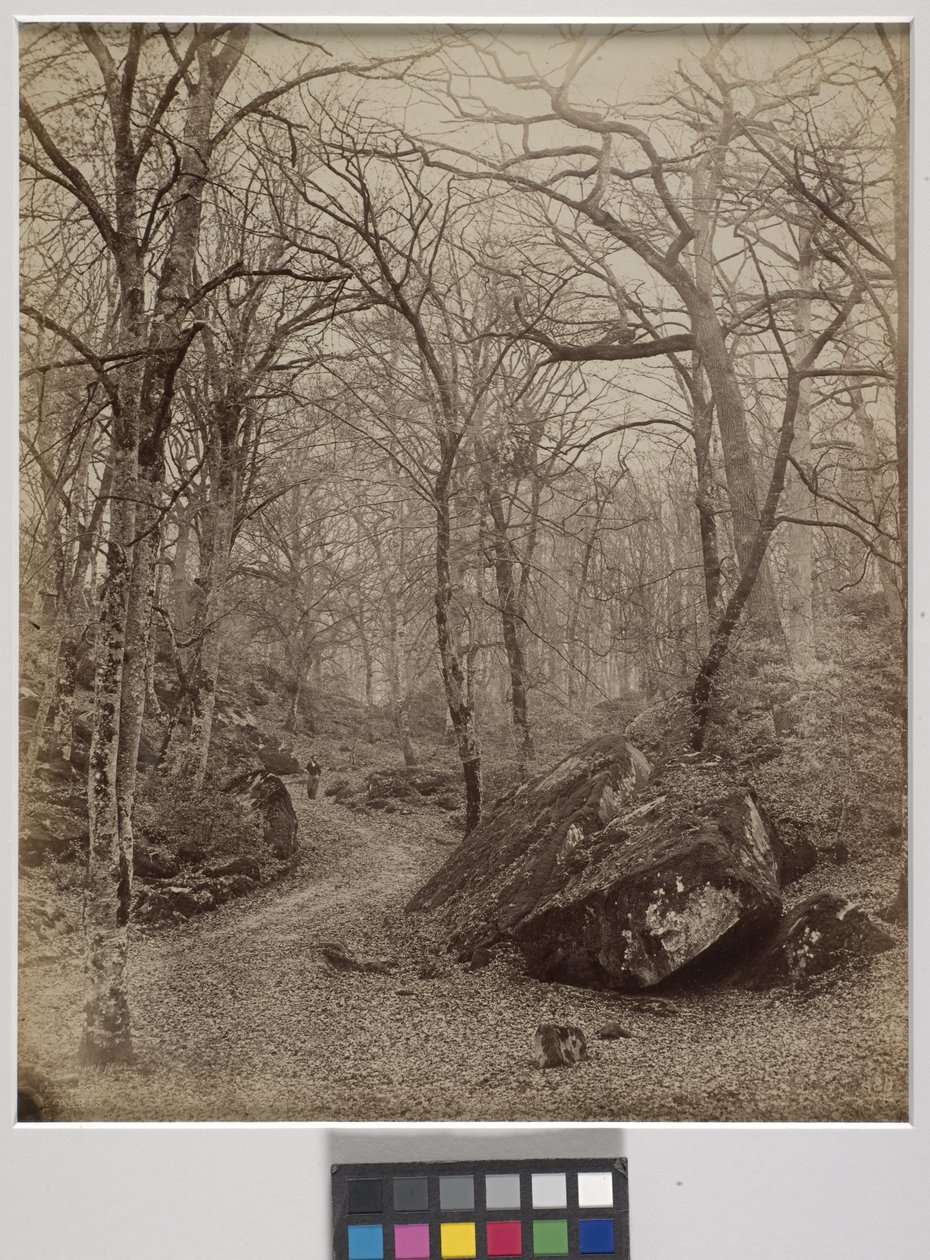 Fontainebleau, n. 1870 (albumiprintti) tekijältä Charles Victor Famin