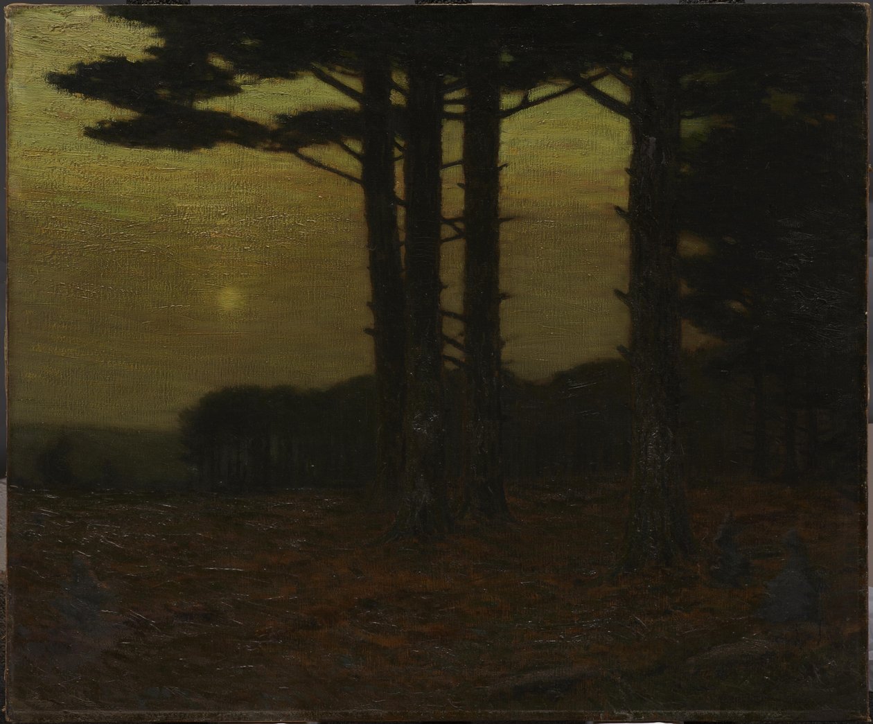 Sentinelit tekijältä Charles Warren Eaton