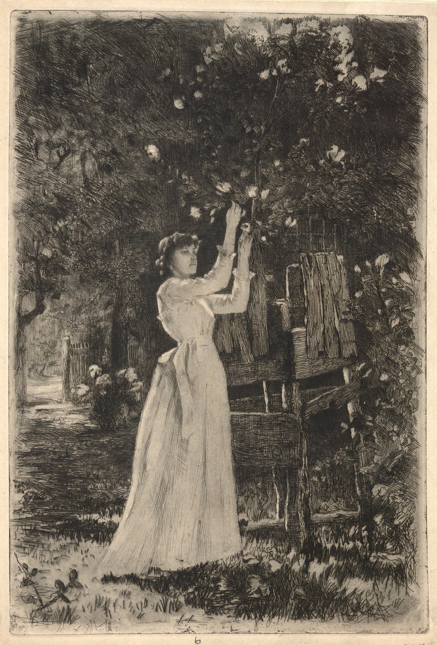 Nuori nainen poimimassa kukkia puusta tekijältä Charles Yardley Turner