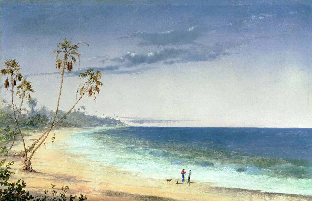 Kuuban maisema, 1866 tekijältä Charles de Wolfe Brownell