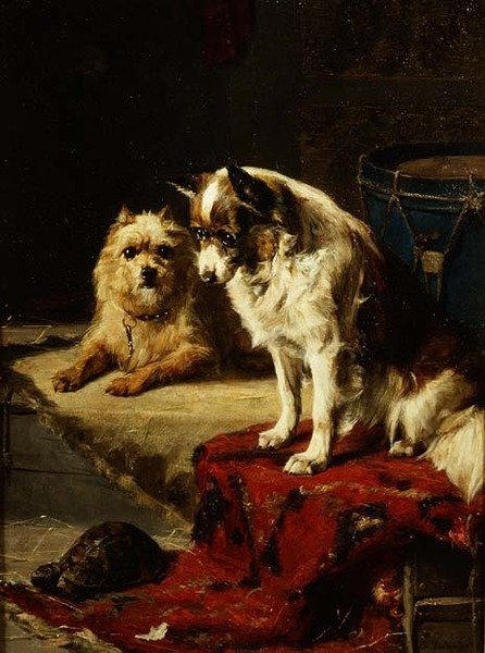 Koirat ja kilpikonna tekijältä Charles van den Eycken